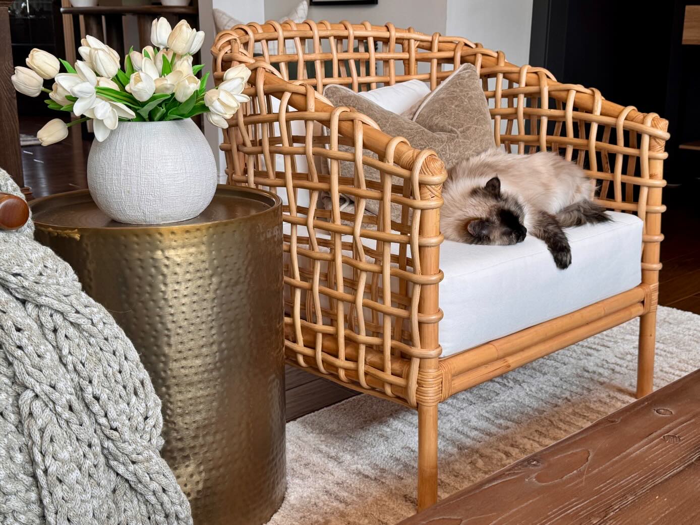 Indigo Road by Egypt Sherrod x East at Main Yulia Openweave Rattan Barrel Occasional Chair
