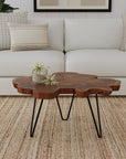 Skylar Live Edge Teak Wood Coffee Table