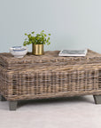 Odessa Rattan Storage Coffee Table