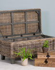 Odessa Rattan Storage Coffee Table