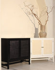 Indigo Road by Egypt Sherrod x East at Main Raffia Paneled 2 Door Storage Cabinet
