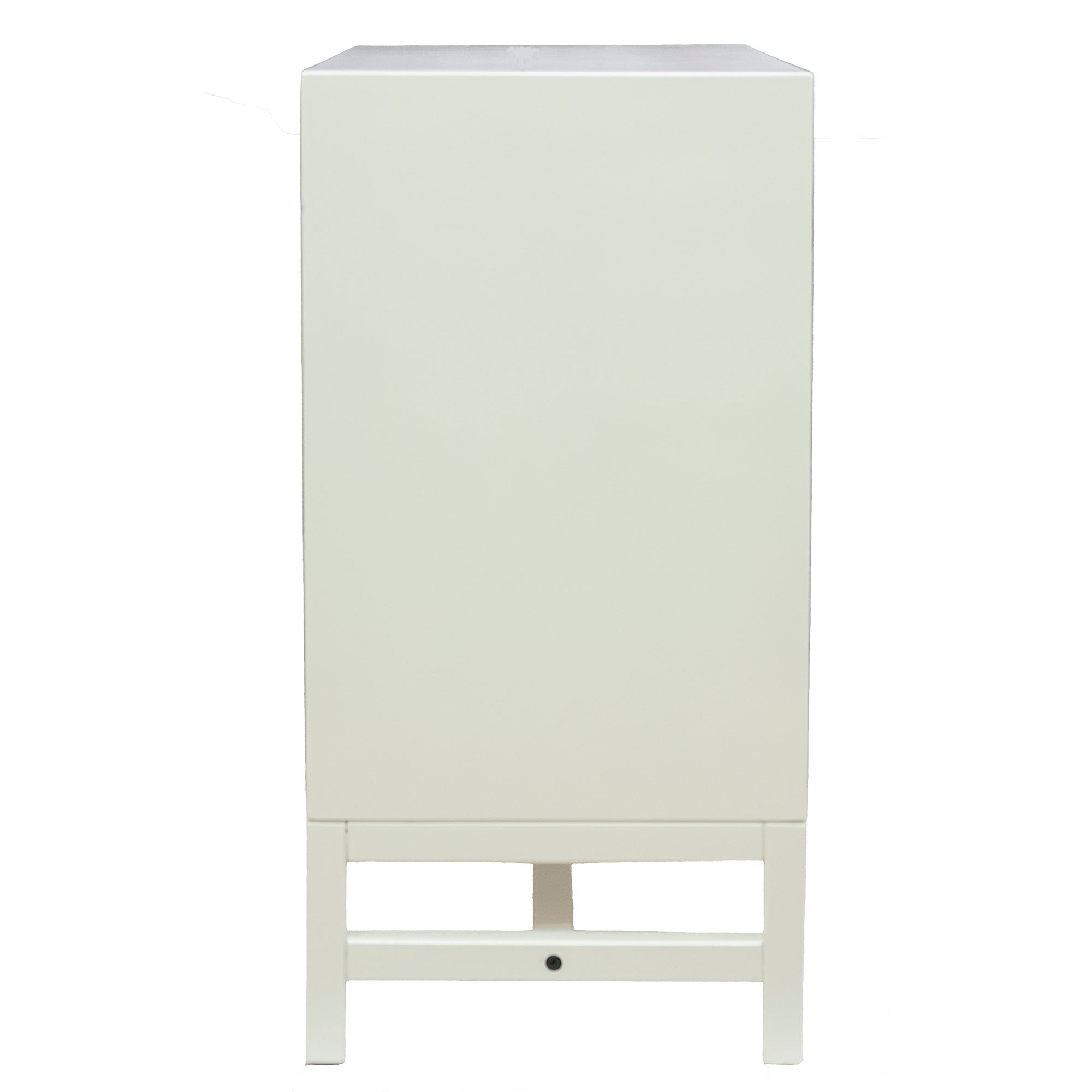 Raelynn 2 Door Raffia Paneled Cabinet