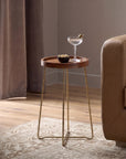 Aria Solid Mango Wood Tray Top Side Table with Brass Legs