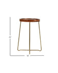 Aria 19" Mango Wood Tray Side Table with Brass Legs