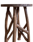 Eli Hand-Carved Solid Wood 14" Side Table with Twig Base