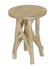 Eli Hand-Carved Solid Wood 14" Side Table with Twig Base