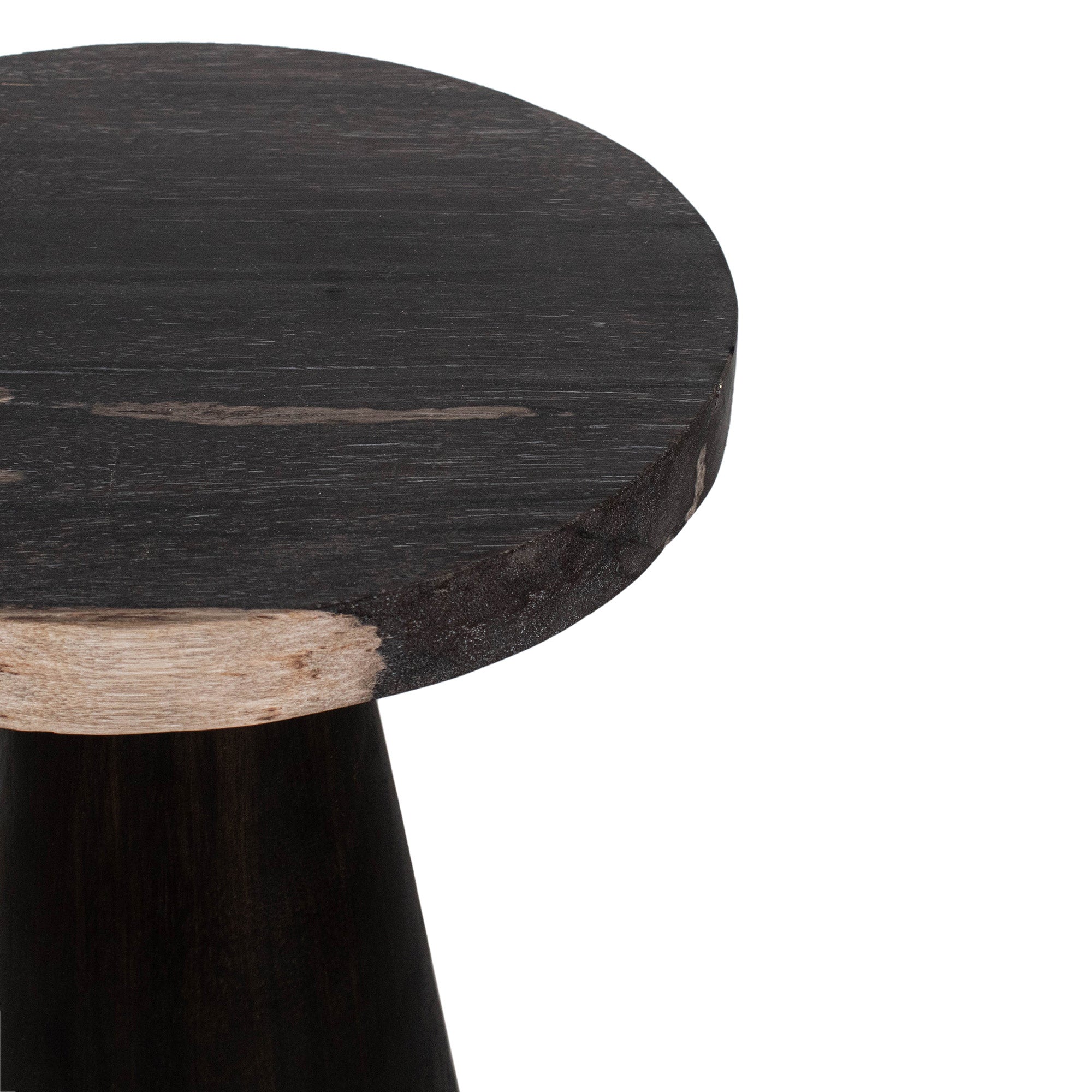 Indigo Road by Egypt Sherrod x East at Main Kayu Petrified Wood Pedestal Table