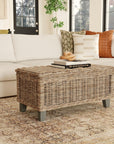Odessa Rattan Storage Coffee Table