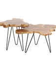 Skye Live Edge Teak Accent Table