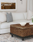 Delilah 48" Woven Abaca and Mahogany Storage Coffee Table Solid Wood coffee table