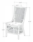 Edie Rattan Dining Chairs with Cushion, Set of 2