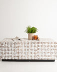 Mila 35" Rectangular Coconut Shell Coffee Table