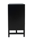 Raelynn 2 Door Raffia Paneled Cabinet