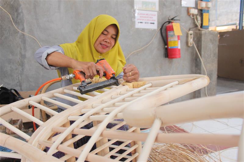 Sustainable Materials Guide: Rattan