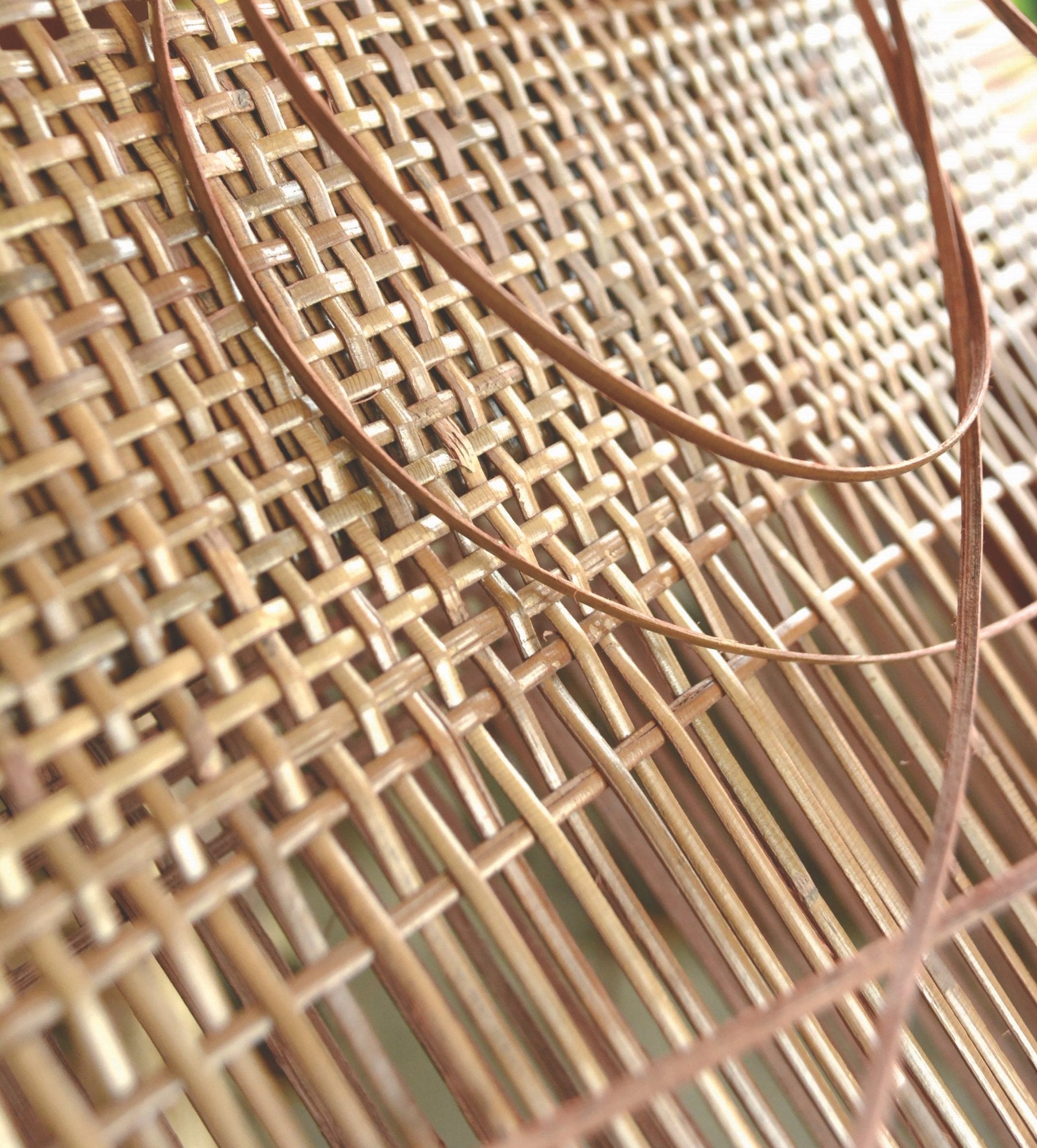 The Eco-Friendly Allure of Rattan Furniture: Why Rattan Side Tables Are a Sustainable Choice