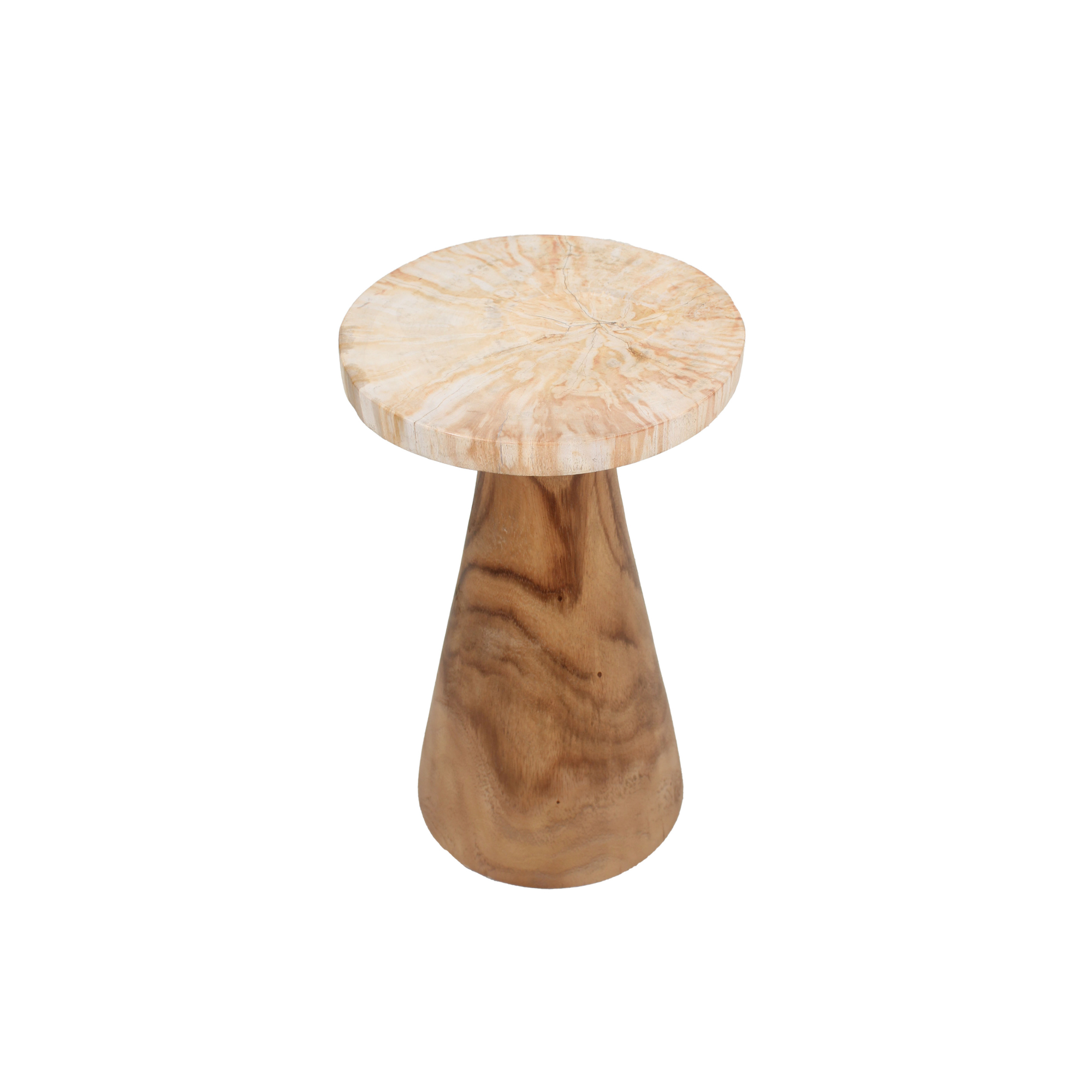 Indigo Road by Egypt Sherrod x East at Main Kayu Petrified Wood Pedestal Table