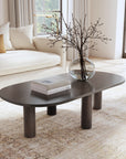 Kali Oval Solid Wood Coffee Table With Round Legs