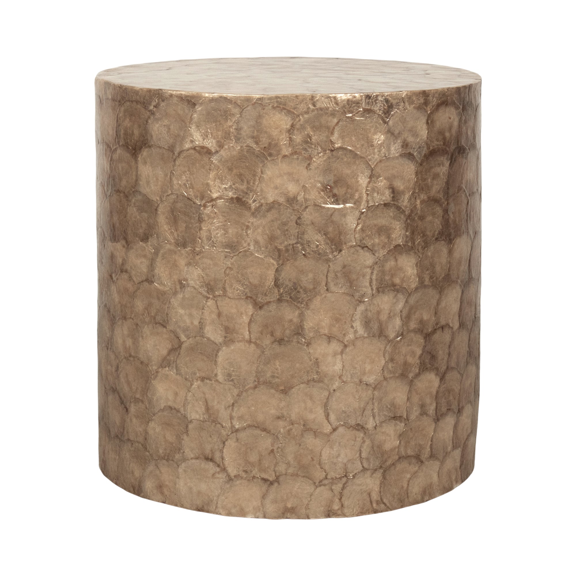 Tasi Round Capiz Shell Accent Table