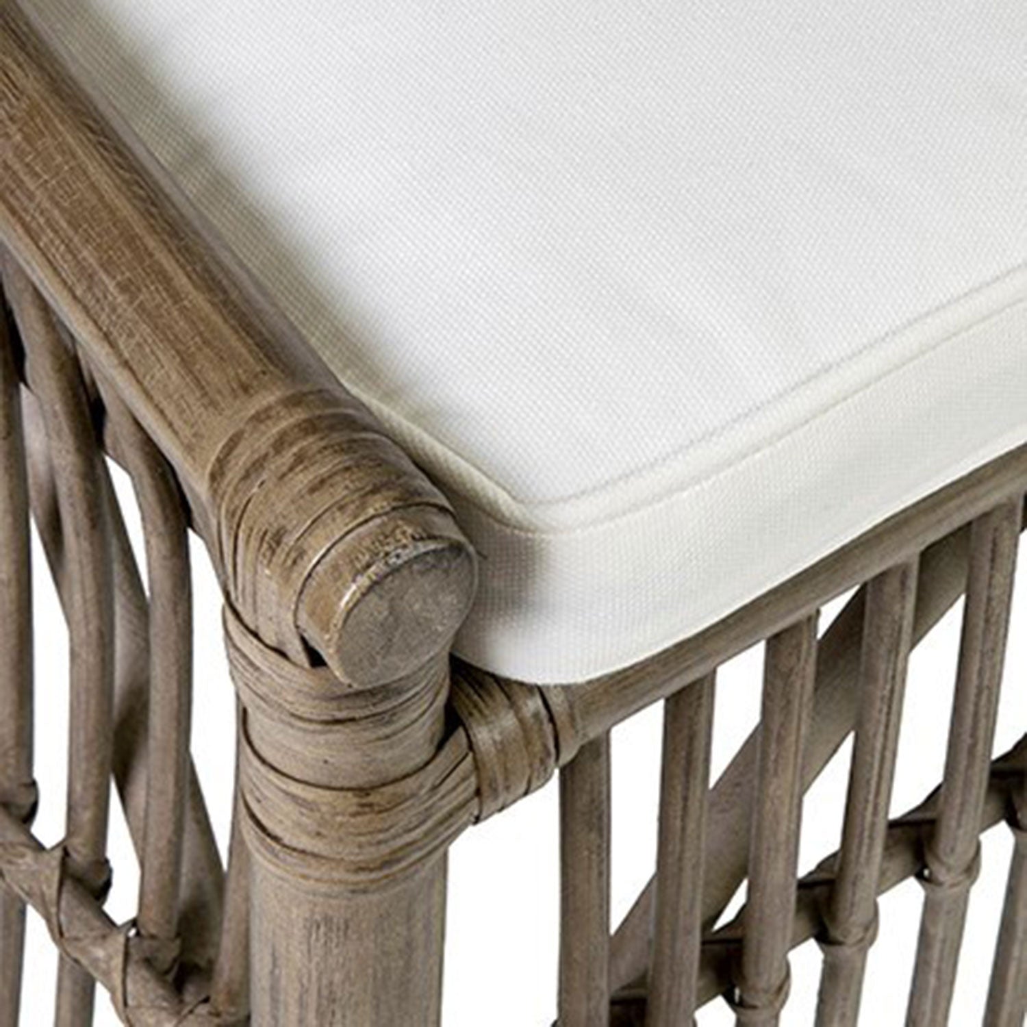 Edie Rattan Dining Chairs with Cushion, Set of 2