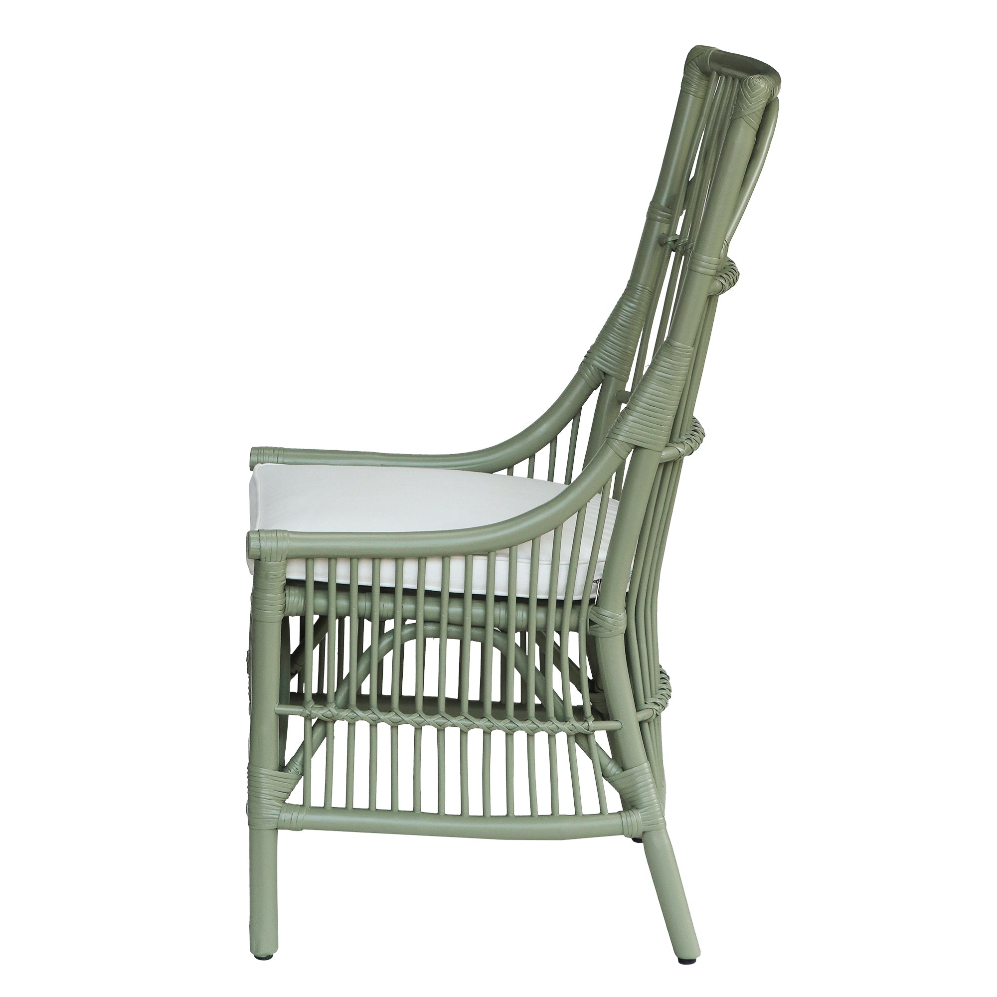 Edie Rattan Dining Chairs with Cushion, Set of 2