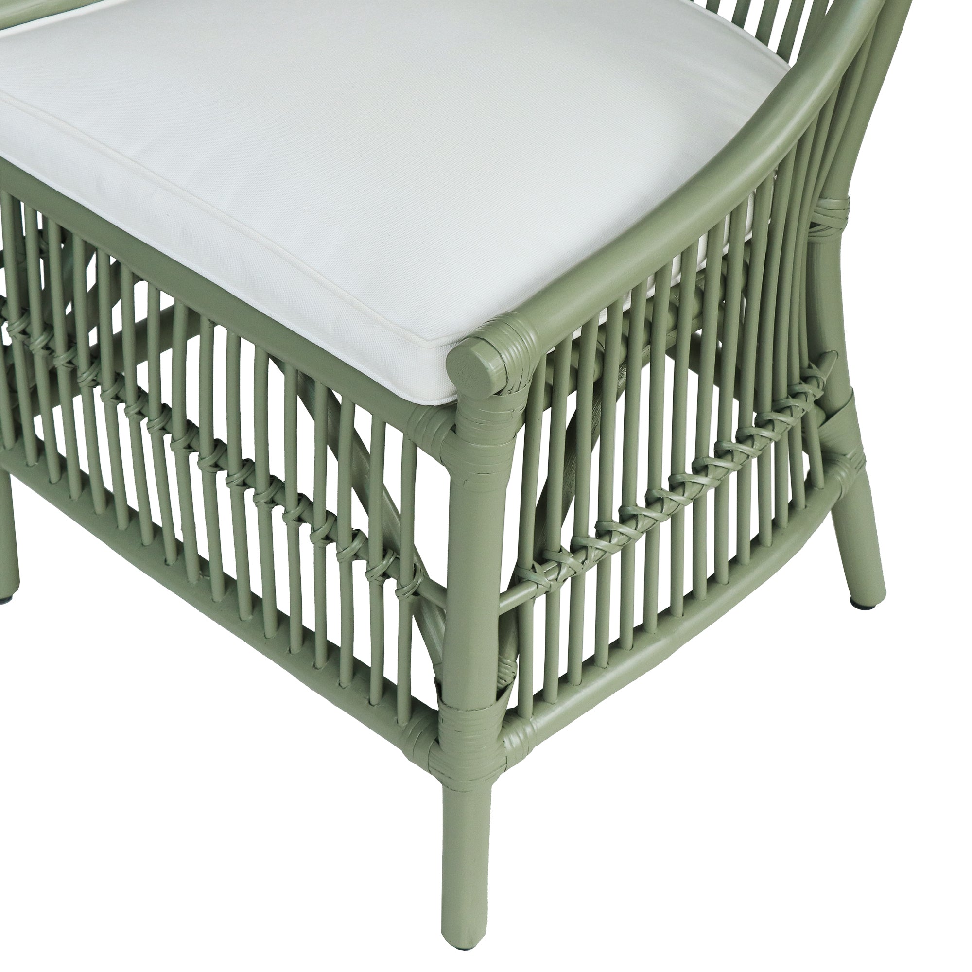 Edie Rattan Dining Chairs with Cushion, Set of 2