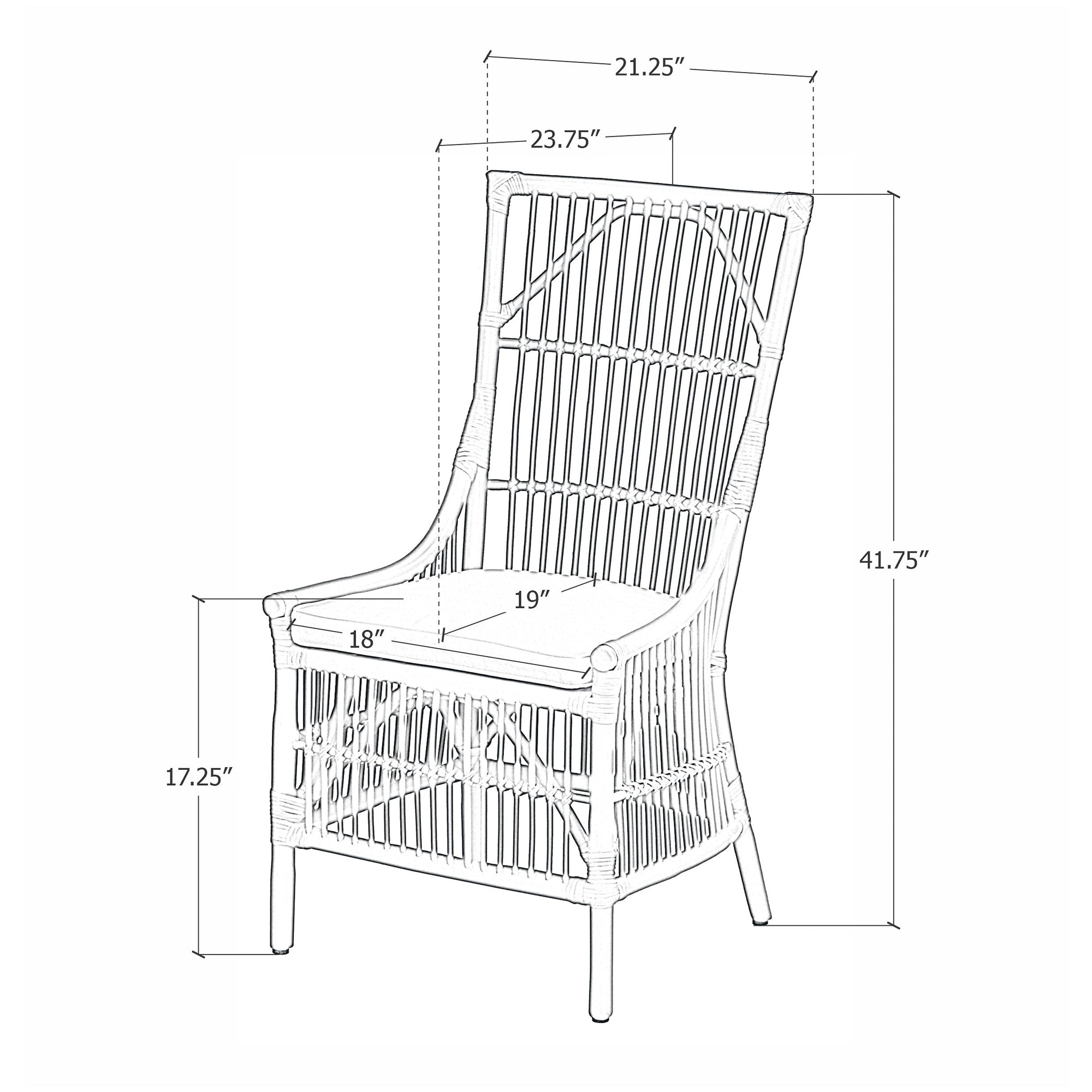 Edie Rattan Dining Chairs with Cushion, Set of 2