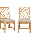 Riana Dining Chairs (Set of 2)
