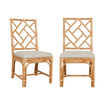 Riana Dining Chairs (Set of 2)