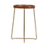 Brown Aria 19" Mango Wood Tray Side Table with Brass Legs Mango Wood accent side table